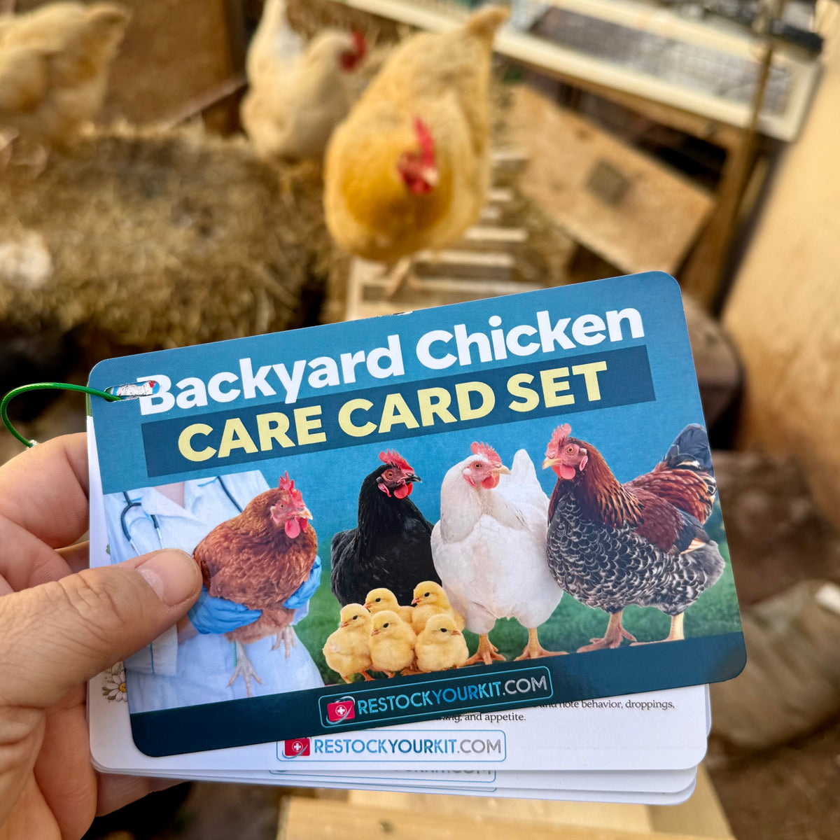 NEW! Backyard Chicken Care Card Set