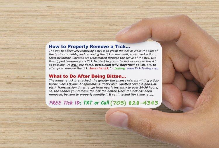 Tick Identification Cards Reference Card TickSafety.com