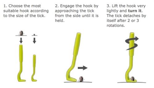 Tick Twister - Tick Removal Device First Aid Supplies O'Tom