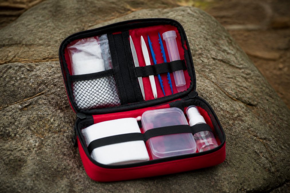 Essential Tick Removal Kit Items: A 2026 Guide