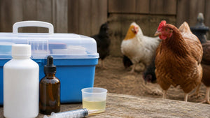 How Long Does Chicken Medication Take to Work?