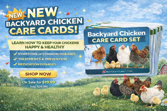 NEW! Backyard Chicken Care Card Set