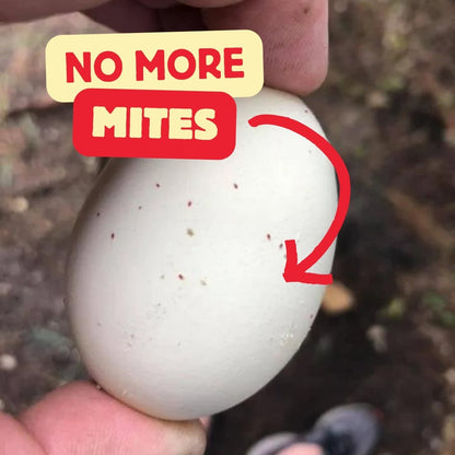 Elector PSP, 9 ml (Poultry Mite + Lice Treatment)