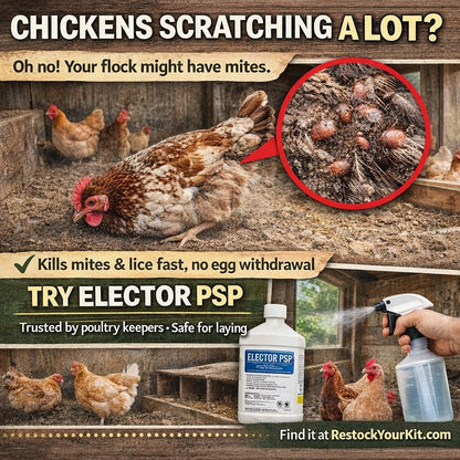 Elector PSP, 9 ml (Poultry Mite + Lice Treatment)