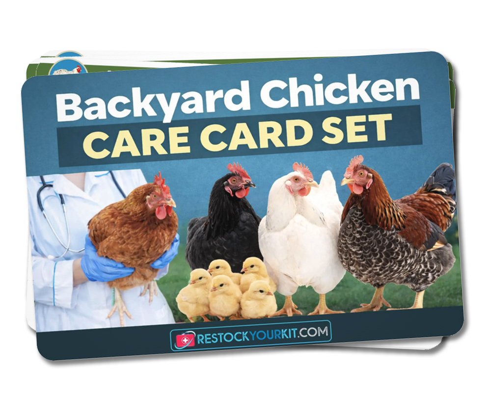 NEW! Backyard Chicken Care Card Set