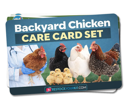 NEW! Backyard Chicken Care Card Set