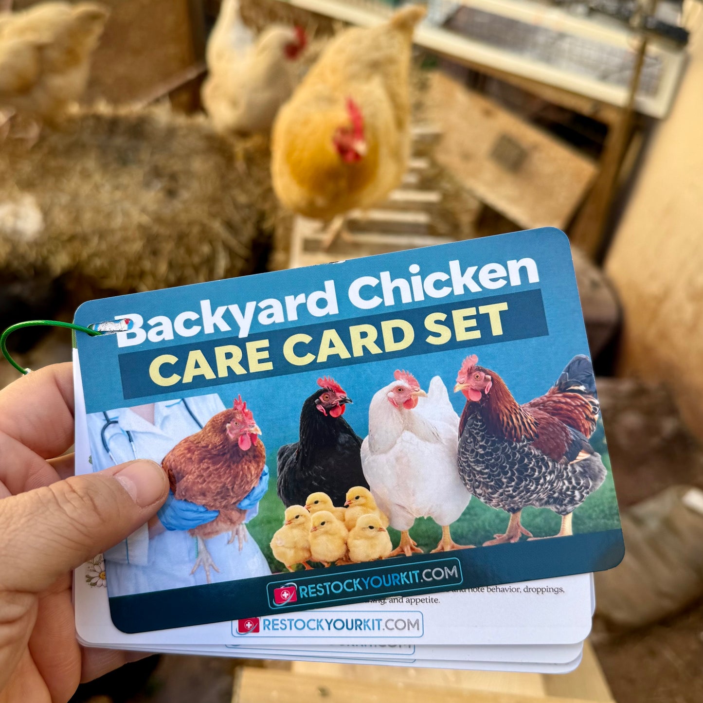 NEW! Backyard Chicken Care Card Set