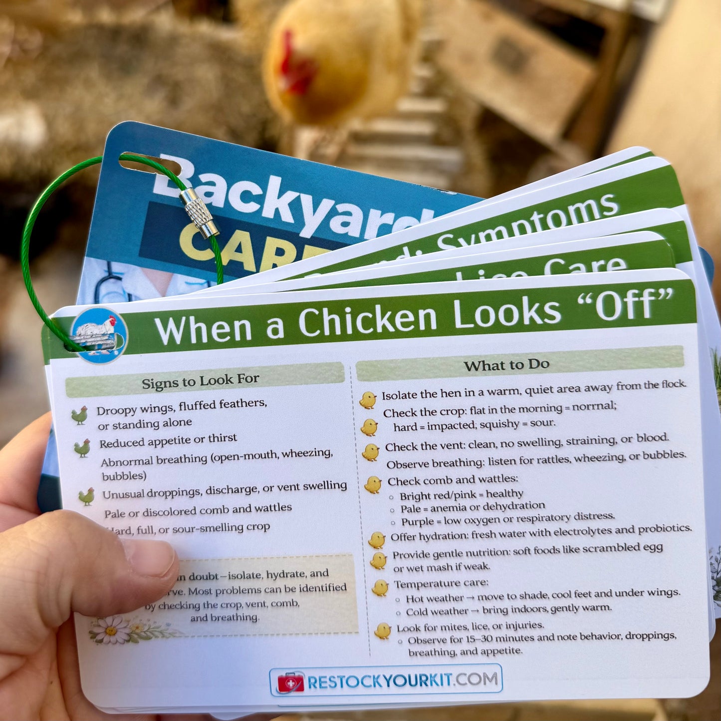 NEW! Backyard Chicken Care Card Set