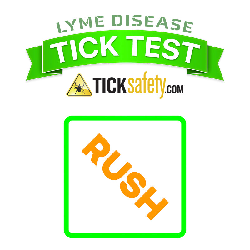 Tick Lyme Test UPGRADE – RUSH (24 hour)