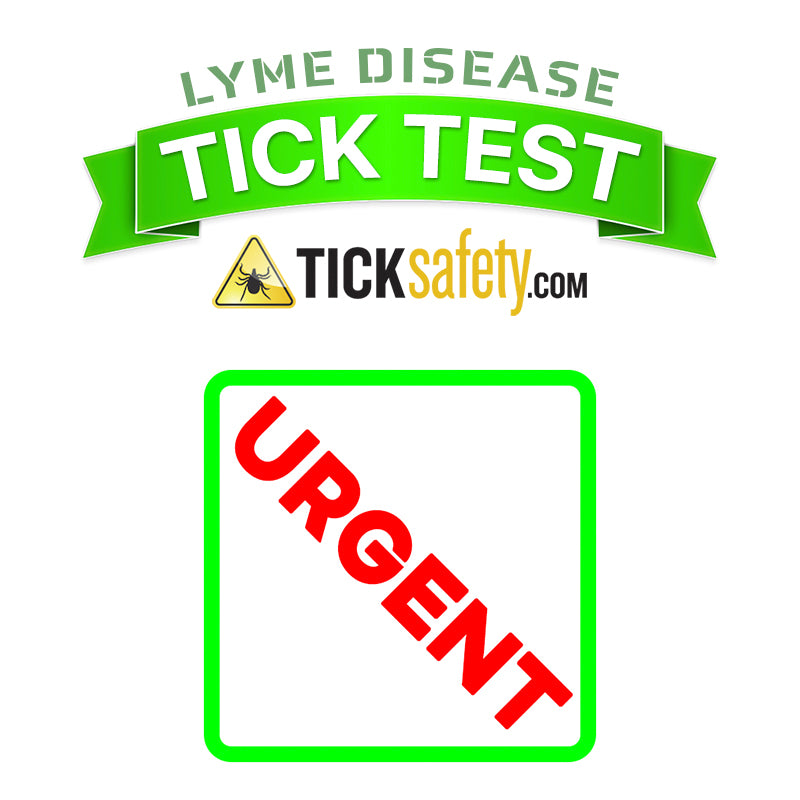 Tick Lyme Test UPGRADE – URGENT (90 Minutes)