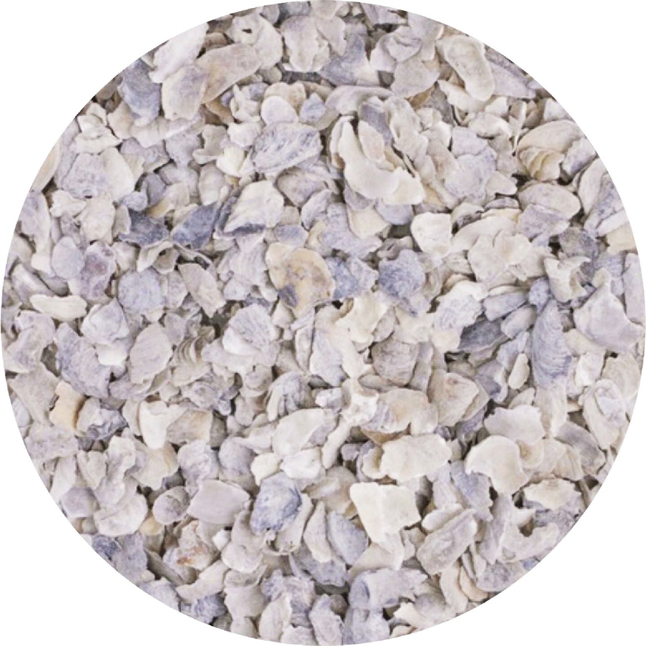 Flaked Oyster Shell Calcium Supplement for Laying Hens (5 LB)