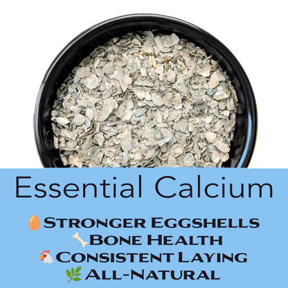 Flaked Oyster Shell Calcium Supplement for Laying Hens (5 LB)