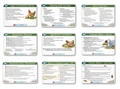 NEW! Backyard Chicken Care Card Set