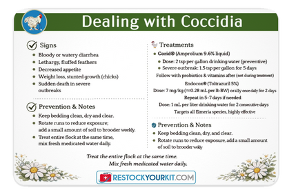 NEW! Backyard Chicken Care Card Set