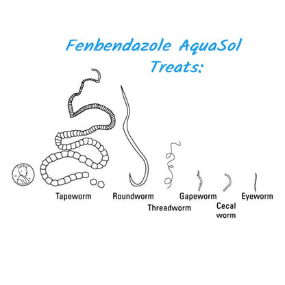 Fenbendazole AquaSol, 9 ml (Treats 800+Lbs Chickens) - The First Aid Gear Shop