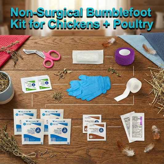 Non-Surgical Bumblefoot Treatment Kit for Chickens + Poultry