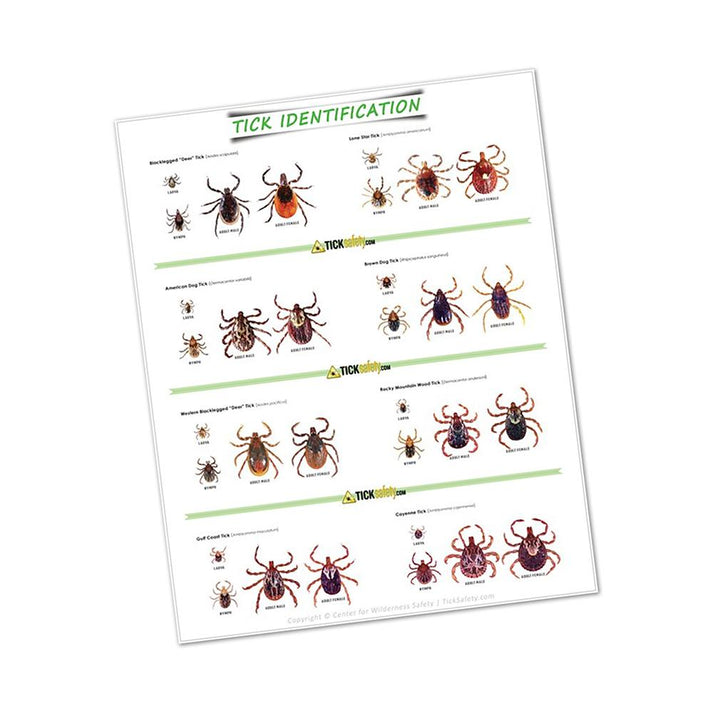 Tick Structures Label Open media 1 in modal